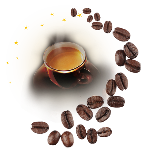 Riseup Coffee – Fresh Filter Coffee
